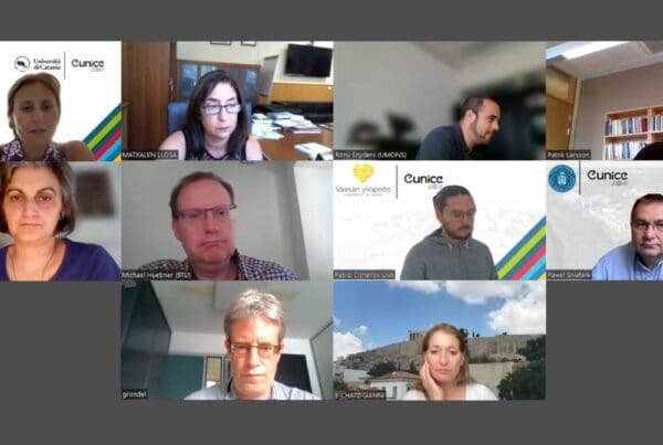 Screenshot durign the online Board of Directors