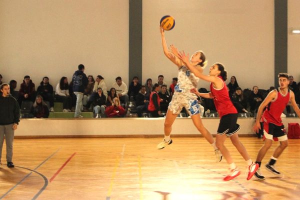 202511_alliance-games-basket 202511_alliance-games-basket