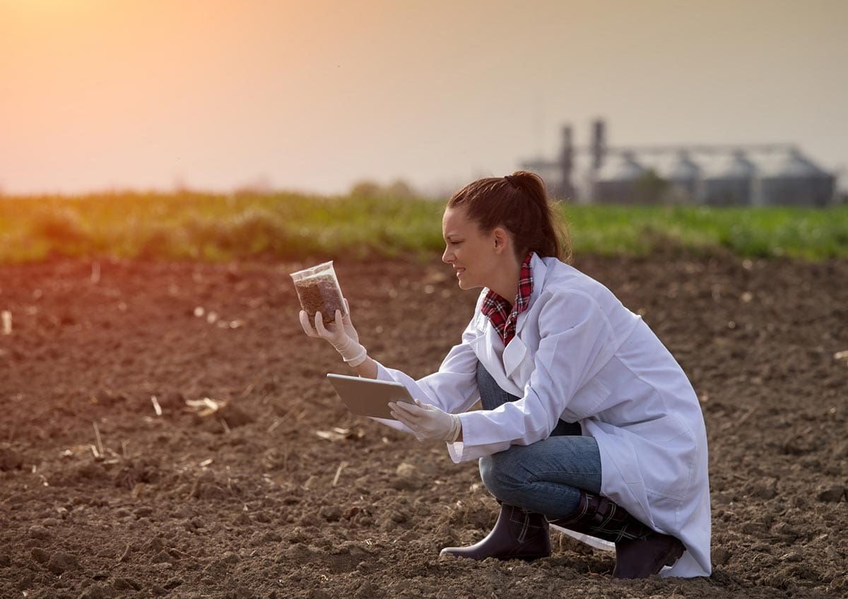 Female researcher taking samples